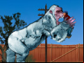 Juego Yeti Rampage