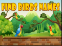 Juego Find Birds Names