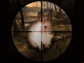 Juego Classical Rabbit Sniper Hunting 2019