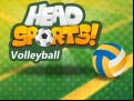 Juego Head Sports Volleyball