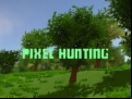 Juego Pixel Hunting