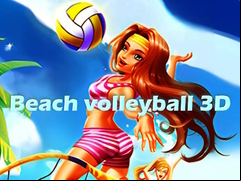 Juego Beach volleyball 3D